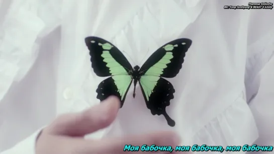 [RUS_SUB] BEAST - Butterfly