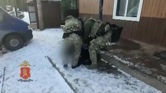 В Красноярском крае задержали пятерых сотрудников центра защиты леса за получение взяток