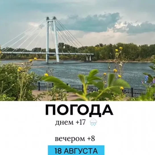 Погода