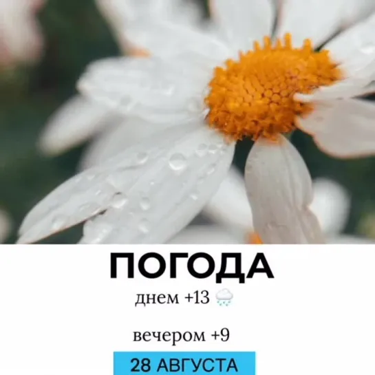 Погода