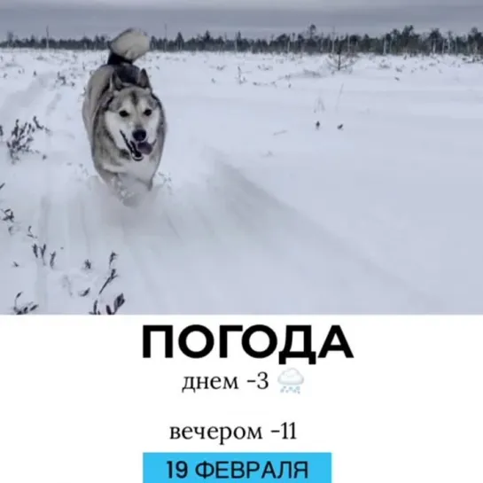 Погода