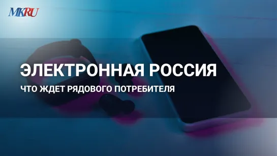 Электронная Россия: что ждет рядового потребителя