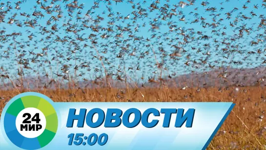 Новости 15:00 от 5.07.2023