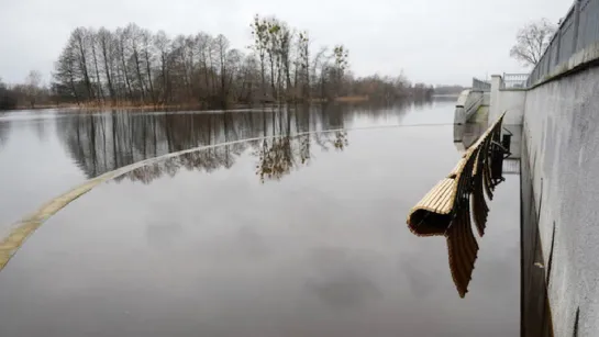 Набережная в Бресте ушла под воду. Реки вышли из берегов и затопили дома, участки, дороги