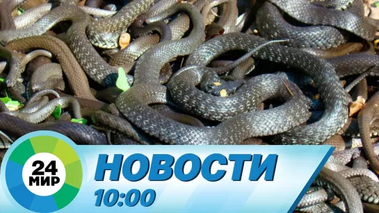 Новости 10:00 от 13.06.2022