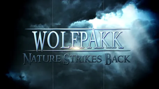 Wolfpakk - Nature Strikes Back (2020) (Official Lyric Video)