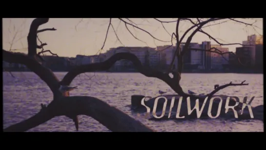 SOILWORK - Death Diviner - 2020