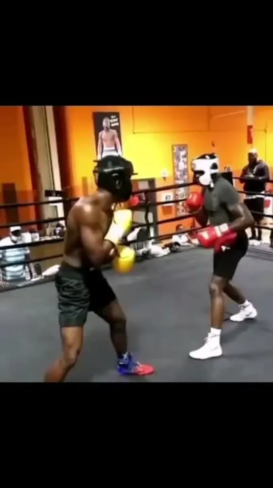 boxnfight_1653319308049