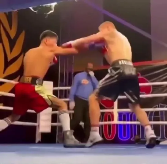 boxnfight_1652418175670