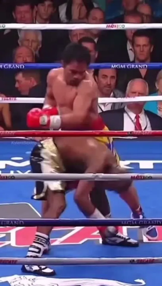 boxnfight_1652727143582