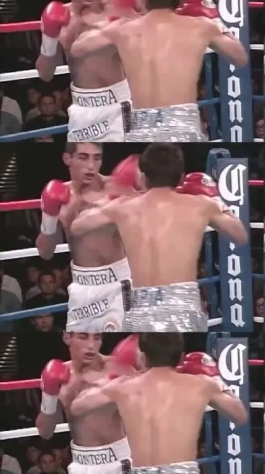 wbcboxing_1652758907402