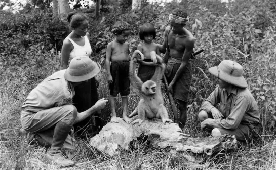 Чанг: Драма о дикой местности / Chang: a drama of the wilderness (США 1927) драма приключения дети в кино