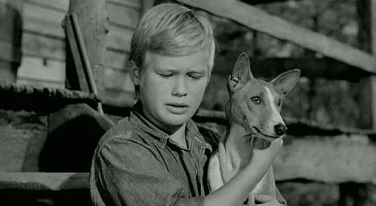 До свидания моя леди / Good-bye My Lady / El niño y el perro / The boy and the laughing dog (1956) приключения драма дети в кино