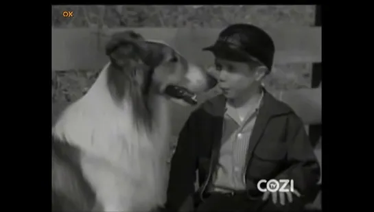 Лесси. / Lassie (1954-1957) часть 12 / перевод