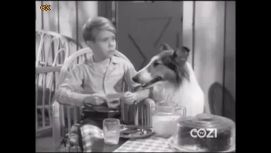 Лесси. / Lassie (1954-1957) часть 5 / перевод