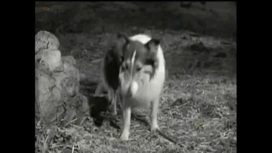 Лесси. / Lassie (1954-1957) часть 3 / перевод