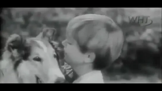 Лесси / Lassie,(1954–1973) сезон 1 серия 21