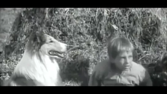 Лесси / Lassie,(1954–1973) сезон 1 серия 13