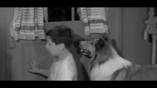 Лесси / Lassie,(1954–1973) сезон 1 серия 8