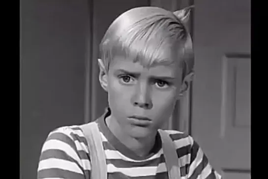 Деннис-мучитель / Dennis the Menace, (1959–1963) сезон 3 серия 14  /s03e14-through-thick-and-thin