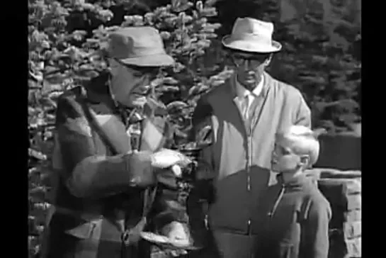 Деннис-мучитель / Dennis the Menace, (1959–1963) сезон 3 серия 12  /s03e12-the-fifeen-foot-christmas-tree (1)