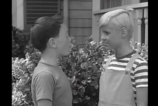 Деннис-мучитель / Dennis the Menace, (1959–1963) сезон 3 серия 10  /s03e10-dennis-is-a-genius