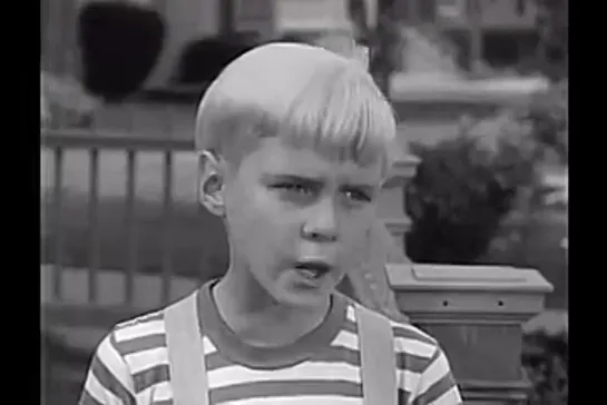 Деннис-мучитель / Dennis the Menace, (1959–1963) сезон 2 серия 35   / s02e35-the-fortune-cookie