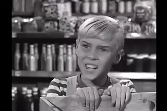 Деннис-мучитель / Dennis the Menace, (1959–1963) сезон 2 серия 30   / s02e30-the-soapbox-derby