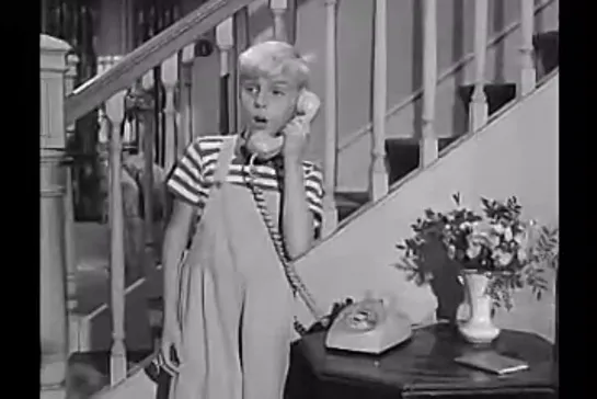 Деннис-мучитель / Dennis the Menace, (1959–1963) сезон 2 серия 28   / s02e28-woodman-spare-that-tree