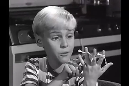 Деннис-мучитель / Dennis the Menace, (1959–1963) сезон 2 серия 26   / s02e26-dennis-obligation