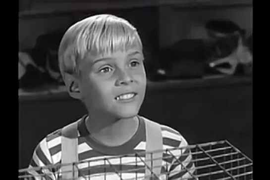 Деннис-мучитель / Dennis the Menace, (1959–1963) сезон 2 серия 25   / s02e25-dennis-and-the-good-example