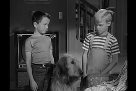 Деннис-мучитель / Dennis the Menace, (1959–1963) сезон 1 серия 20  / s01e20-dennis-and-the-dog