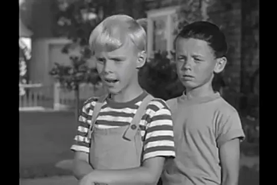 Деннис-мучитель / Dennis the Menace, (1959–1963) сезон 1 серия 6  / s01e06-dennis-garden