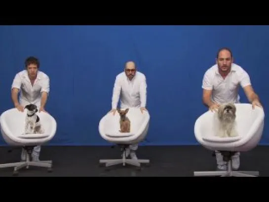 OK Go - White Knuckles - Official Video