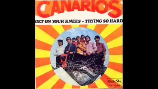 ''Get on your knees'' Los canarios