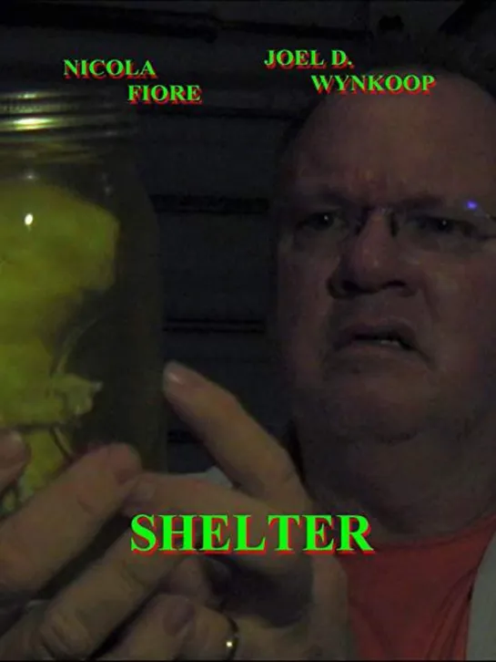 Shelter (2008)