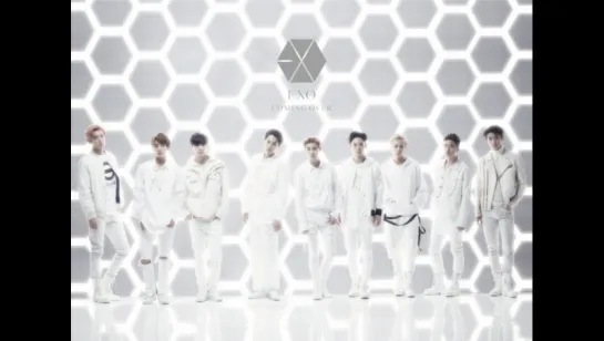 EXO - TacTix