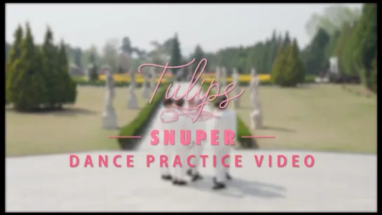 SNUPER - Tulips (Dance Practice)