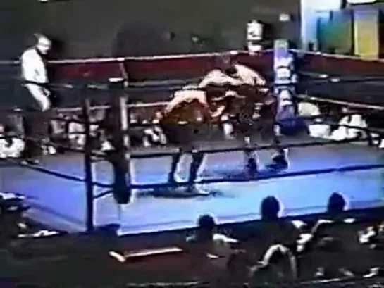 1990-05-11 Roy Jones Jr vs Ron Johnson