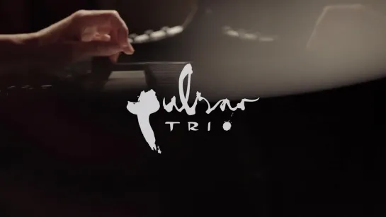 PULSAR TRiO - Butterfly Toe  • 2018