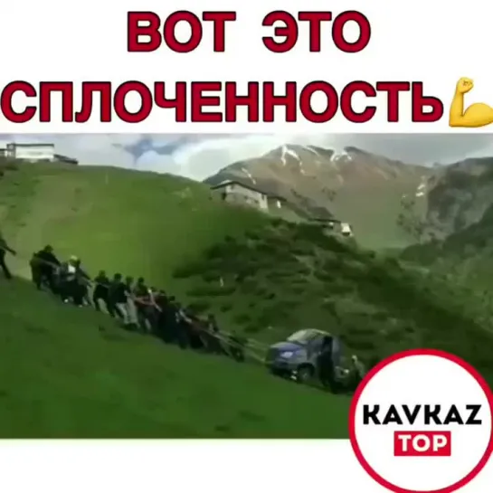 Вот это сплоченность