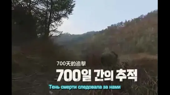 Трейлер документального фильма «DMZ The Wild» с Ли Мин Хо (руссаб)