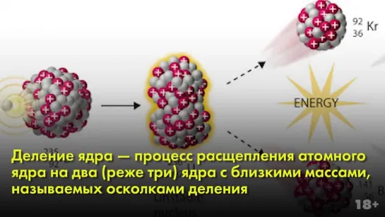 Почему женщина не может быть хорошим ученым: 10 важных женских открытий, о которых вы не слышали