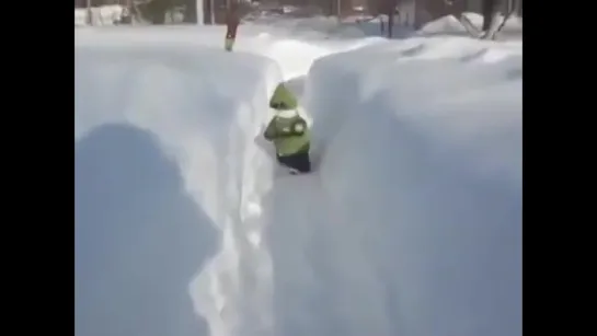 Ванька! Не ешь снег, это не мороженое