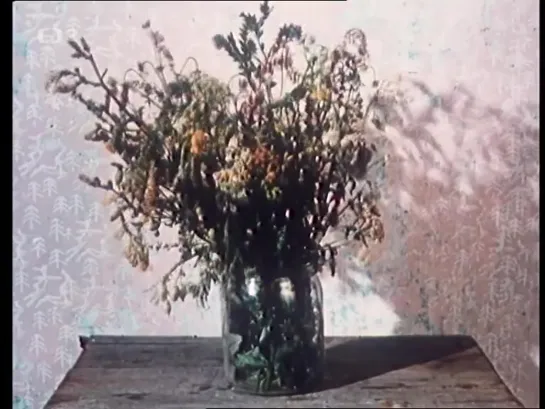 Tichý týden v domě _ Тихая неделя в доме (1969) Jan Švankmajer _ Ян Шванкмайер. Чехия