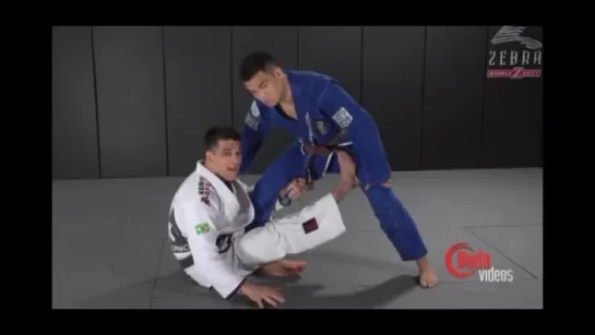 BJJ Виницыя Дракулино пояс 4 дан