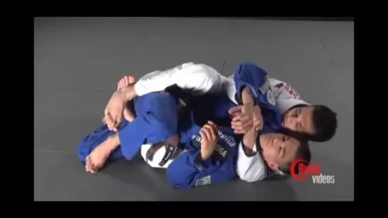 BJJ Виницыя Дракулино пояс 4 дан