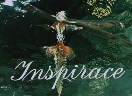 Inspirace _ Вдохновение (1949) Karel Zeman _ Карел Земан. Чехия