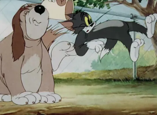 16. Puttin’ on the Dog - Том и Джерри (1944) William Hanna & Joseph Barbera_Уильям Ханна и Джозеф Барбера. США