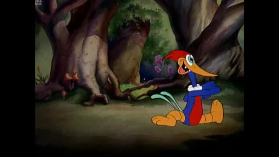 Woody Woodpecker - Дятел Вуди (1941) Walter Lantz \ Уолтер Ланц. США